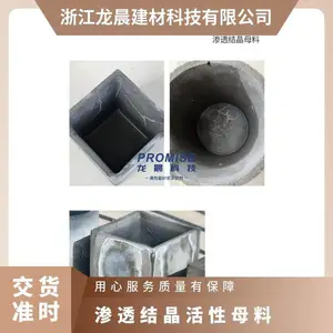 龙晨高分子聚合物基面抗裂抗渗防水效果长久水泥基渗透结晶母料