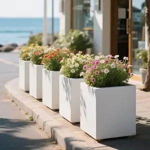 �ٲ׽�������Ʒ������ѧ��˫�ؿ���