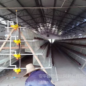 立式四层育雏小鸡笼 肉鸡大型肉鸡笼 一条笼加密型号