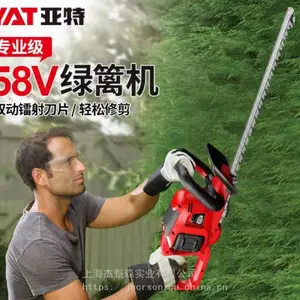 ����58V��������ʽ������綯��֦��԰����֦����Ҷ�޼���