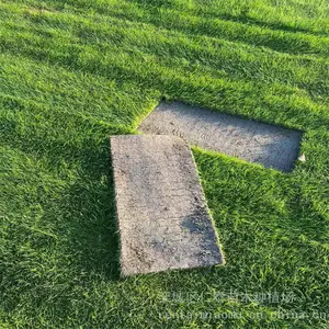 ���������β���� ����é��Ƥ �����ܻ��� ��������ƺ Ұ�����