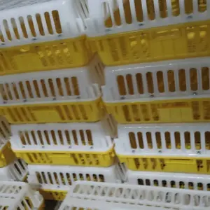 广西塑料笼子 南宁橙白毛鸡笼框子
