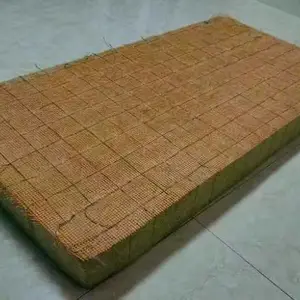 ����������֯��ǿ���ޱ��°�