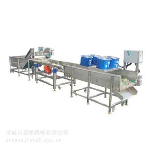 森岳果蔬清洗加工流水线SYQXJ-3000定制蔬菜气泡清洗机