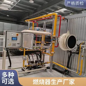 岱鼎 500万大卡天然气 低氮燃烧器 支持定制 规格齐全 维护保养