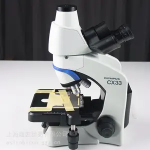 Olympus显微镜