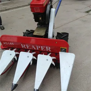 ��ʥ��е����ʽ�Ͳ����ո�� �¿�����ɹ�� �ɶ������ջ��