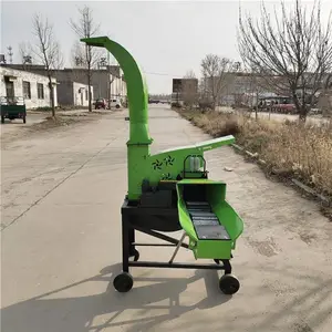 ��Ӧ��ֳ�����������׽ո�ա�ݻ�_�ַ��е�����ա����˿��