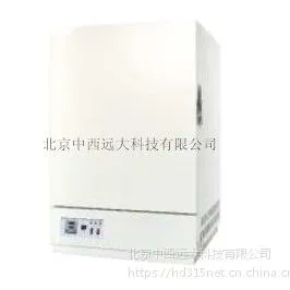 干燥箱/电热鼓风干燥箱 型号:/SD36-CS101-3EB库号:M404113