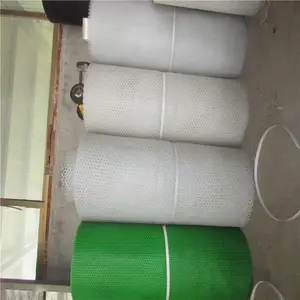 ��С����ɫ��ֳ�� ��ɫ������ֳ�� ����������***