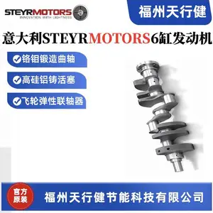 ֱ��ԭ�������STEYR-MOTORS��ͧ���������SE236E40-Z010207-0