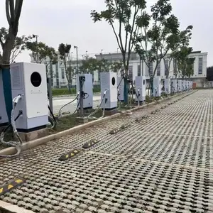 ˫ǹ�뷢����ţ120KW���׮��Ӫ��׬Ǯ