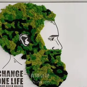 沈阳永生苔藓墙施工按平出售森美景观
