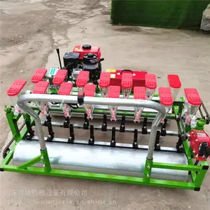 �๦���߲˲��ֻ� С�������Ѿ����� ������ֲ��