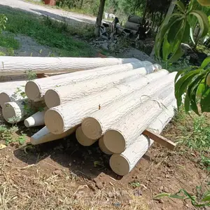 15cm������ˮ���ľ׮Ԥ��Բ����ľ׮�������Ụ�·�ľ׮