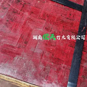 湖南橙天 1220*2440*10MM 定制款高使用次数 密度更高强度更好 全薄帘实芯竹胶板