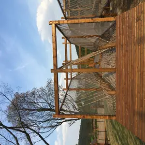 ����ɣ��ӵ»���Ӧľ�ʻ�������ǽ�׶���ǧר�ð�ȫ������ζľ���ͣ��ͺ�ľ����