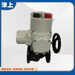 Q941H-16P DN32 DN40 DN50 津上伯纳德 硬密封高压法兰电动球阀