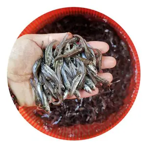 ��β�t���糧�� ��β���������ˮ������ ��β�����г�����