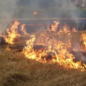 秸秆禁烧识别系统 秸秆焚烧烟火识别系统-燧机