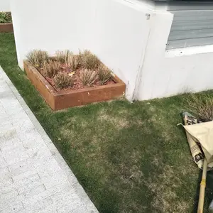 ���ҽ�����ͼ�ӹ����� ����Χ����ʴ �����ͺ�ֻ�̳ ��Ȼ��ɫ����