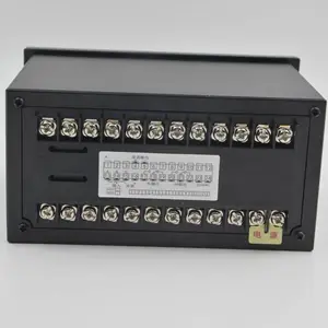 XSW-D万能输入双显示数显仪XSW-E温度显示仪压力仪表液位仪称重仪