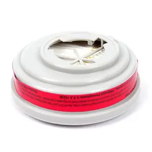 ÷˼��MSA 815369-CN P100 ������׼����Ƭ ������Խϵ������