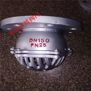 温州厂家供应法兰底阀 H42X/W 不锈钢升降式水泵底阀 H42W-10P DN40