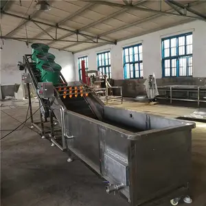 叶类菜冲浪式气泡清洗机-广盈机械有限公司
