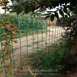 ��ɫ������˿�� ***������ ��ֳ������