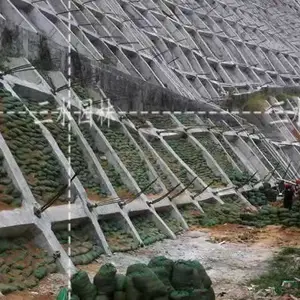 舟山客土边坡绿化施工队伍