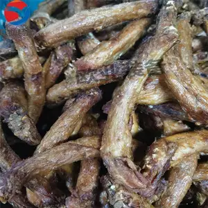 ����Ѽ��������ը�豸 ���������ը�� ����Ʒʡ�ͻ���