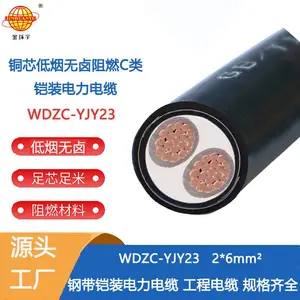 金环宇电缆 钢带铠装电力电缆WDZC-YJY23-2X6 低烟无卤阻燃c类电缆