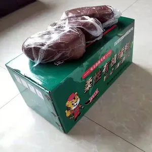 �������·�·����� �����л����� �����²���