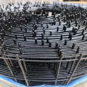 防护包胶荷兰网 工程围栏铁丝网院墙 圈果园蔬菜隔离网