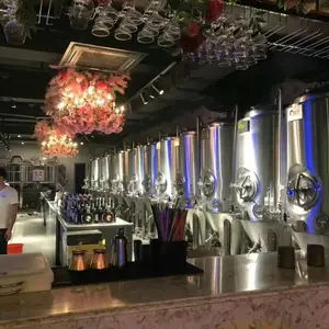 精酿啤酒设备全套报价包含哪些系统
