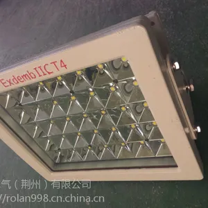 120WLED防爆灯 ip66等级LED防爆泛光灯