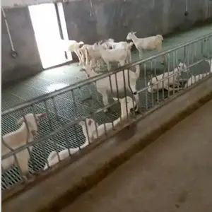������ �ߴ�����©��ذ����� ����ר��©���
