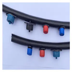 ��������ô������ι��ͷ�Ǽ���