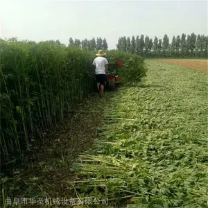 ����ʽ�Ѳ��ո�� �߸�«έ��ݸ�ɹ�� �ո����̨