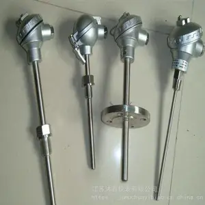 WRNK-121铠装热电偶陶瓷不锈钢保护管双支铂铑