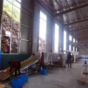 õ�廨�豸��Ӧ��_õ�廨΢��ɱ���豸_õ�廨΢����ɻ�