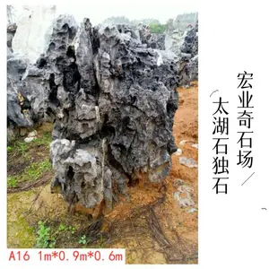 太湖石产地在哪里/太湖石独石产地报价/重庆太湖石独石产地实拍图