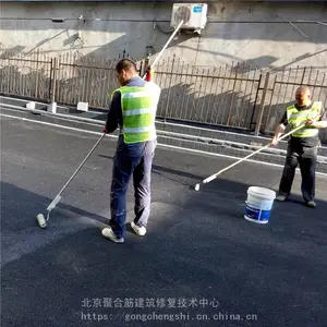 ɰ�������Ĩ�Ҳ�չĴ���