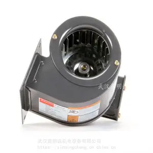 ����DAYTON���ٵ�����ķ�� ֱ���������1L520