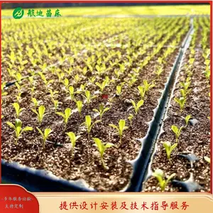 航迪供应育苗床 滚动式大棚蔬菜育苗床 温室设计合理