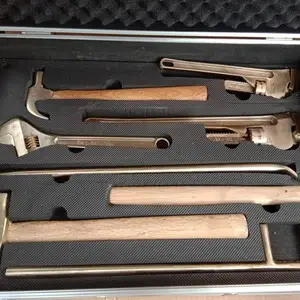 �������鱬�Ϲ���21�� ʯ��ȼ�����޻𻨹��߷���������װ21���� �ɰ��ͻ�����