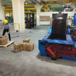 �����ϸַ���ѹ��� ��廨��Һѹ����� 160��С����ʽѹ���