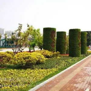 ����μ�ϵ���רҵ ,�й������ʹ��ͷ����̵��������