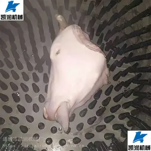 ͲʽС����ͷ��ë�� ��ͷ��ϴ�� ����������ϴ���ͺ�